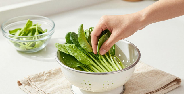 春吃芽正当时！分享10种又新又鲜的应季芽菜及做法(图1)